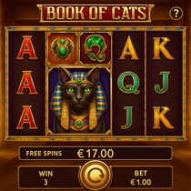 CashWin - Book of Cats Slot Game - Speel Nu